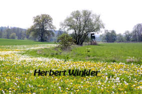 Kferinger Au Herbert Winkler