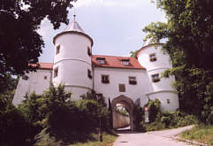 Vergrerung- Schlossportal